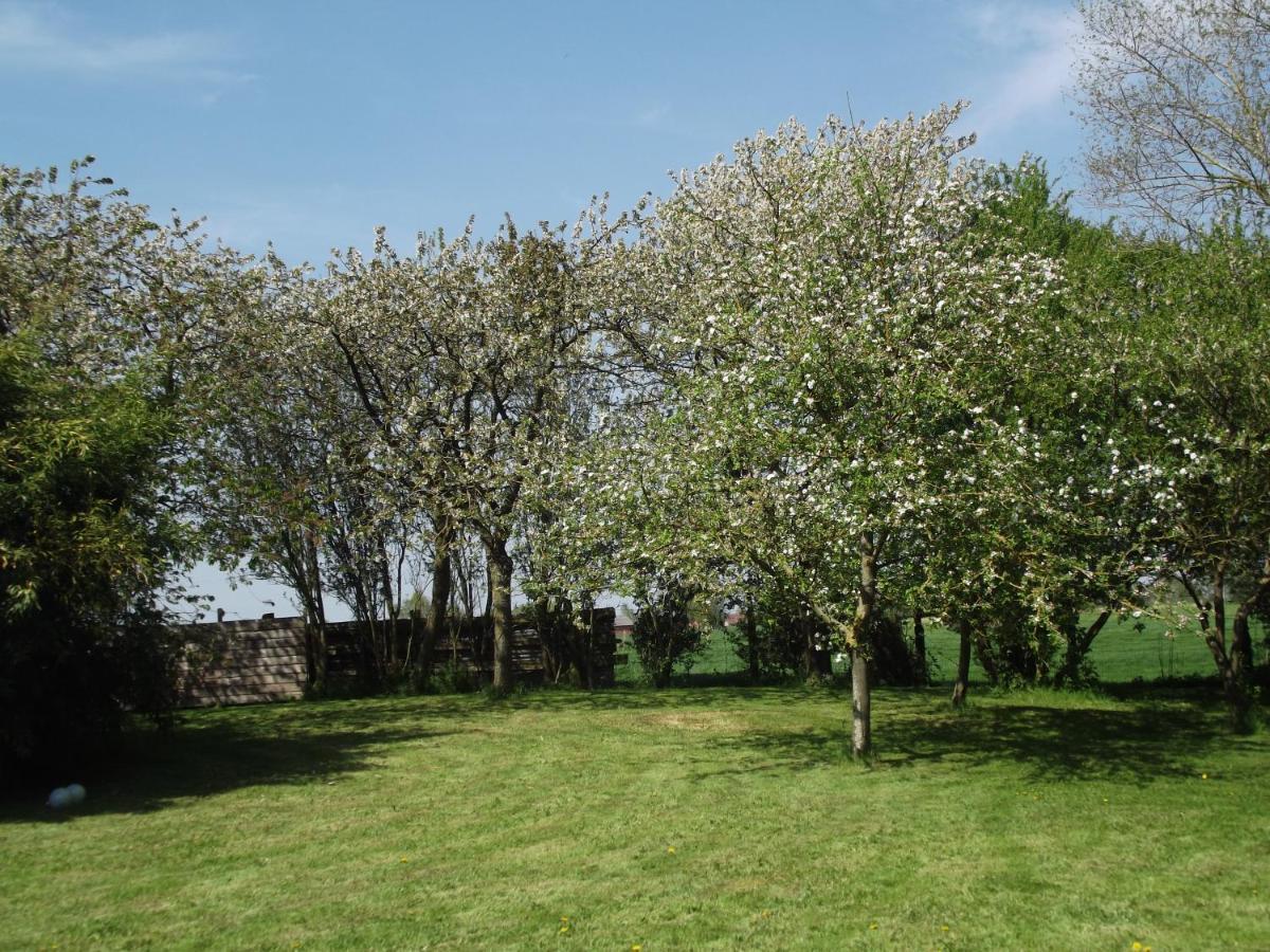 Steenvoorde Au Bonheur Frontalier B&B 외부 사진